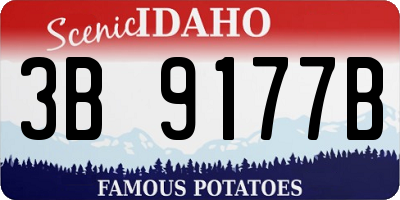 ID license plate 3B9177B