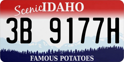 ID license plate 3B9177H