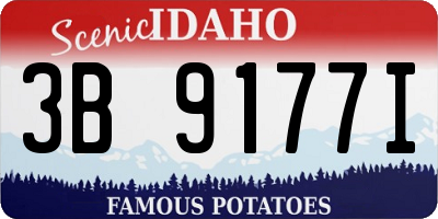 ID license plate 3B9177I