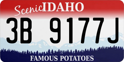 ID license plate 3B9177J