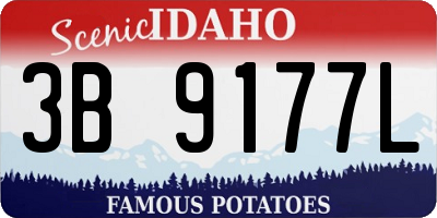 ID license plate 3B9177L