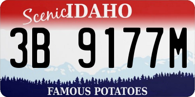 ID license plate 3B9177M