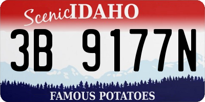 ID license plate 3B9177N