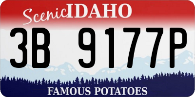 ID license plate 3B9177P