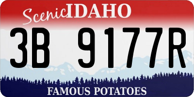 ID license plate 3B9177R