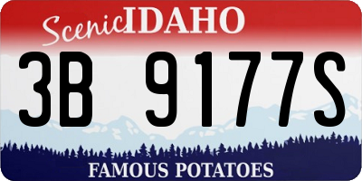 ID license plate 3B9177S