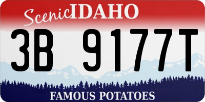 ID license plate 3B9177T