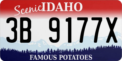 ID license plate 3B9177X