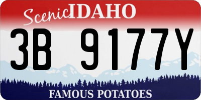 ID license plate 3B9177Y