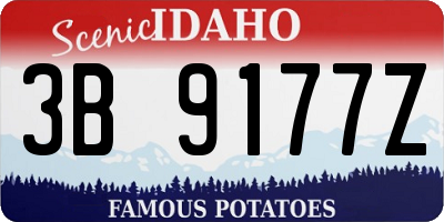 ID license plate 3B9177Z