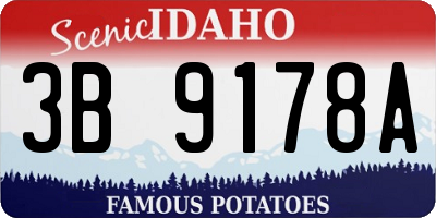 ID license plate 3B9178A