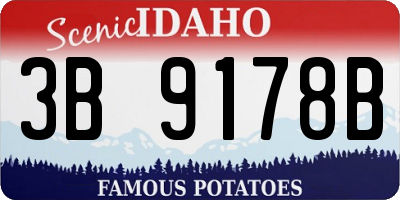 ID license plate 3B9178B
