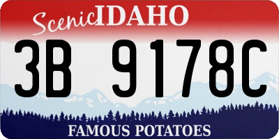 ID license plate 3B9178C