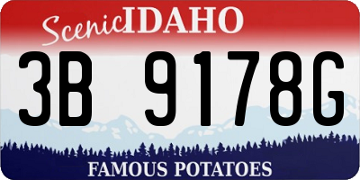 ID license plate 3B9178G