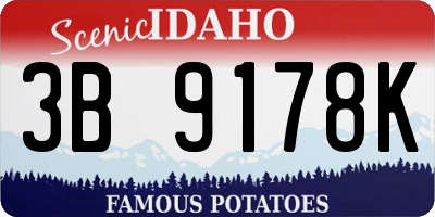 ID license plate 3B9178K
