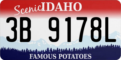 ID license plate 3B9178L