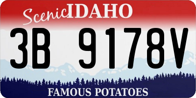 ID license plate 3B9178V