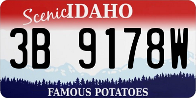 ID license plate 3B9178W