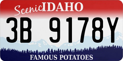 ID license plate 3B9178Y