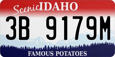 ID license plate 3B9179M