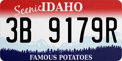 ID license plate 3B9179R