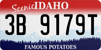 ID license plate 3B9179T