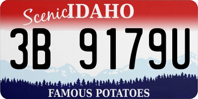 ID license plate 3B9179U