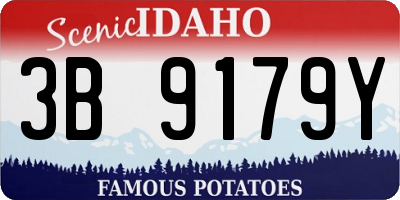 ID license plate 3B9179Y