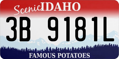 ID license plate 3B9181L