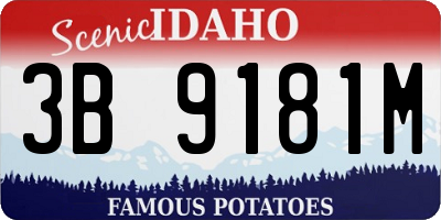 ID license plate 3B9181M