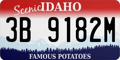 ID license plate 3B9182M