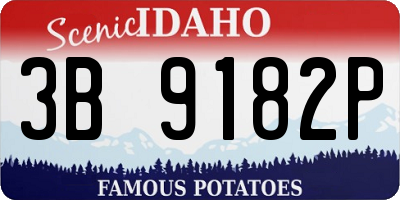 ID license plate 3B9182P