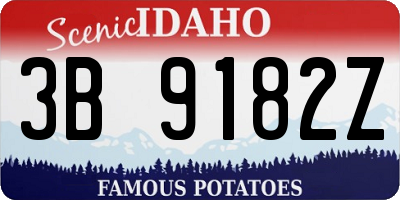 ID license plate 3B9182Z