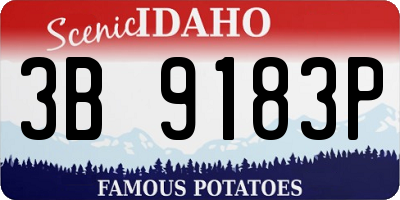 ID license plate 3B9183P