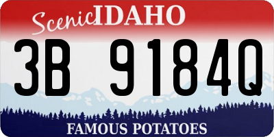 ID license plate 3B9184Q