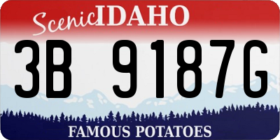 ID license plate 3B9187G