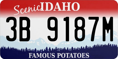 ID license plate 3B9187M