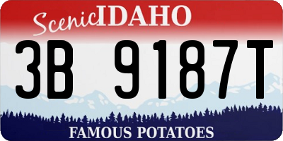 ID license plate 3B9187T