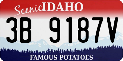 ID license plate 3B9187V