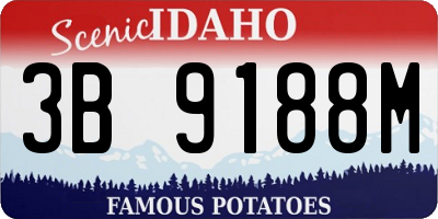 ID license plate 3B9188M