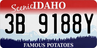 ID license plate 3B9188Y