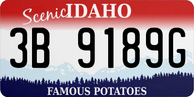 ID license plate 3B9189G