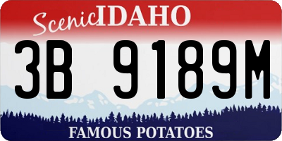 ID license plate 3B9189M