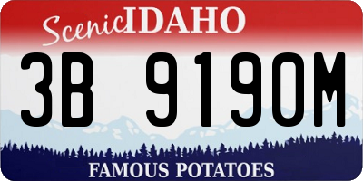 ID license plate 3B9190M