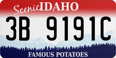 ID license plate 3B9191C