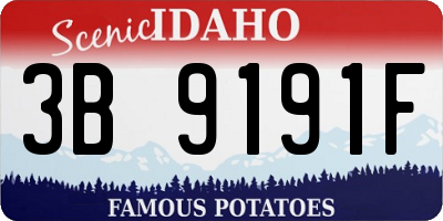 ID license plate 3B9191F