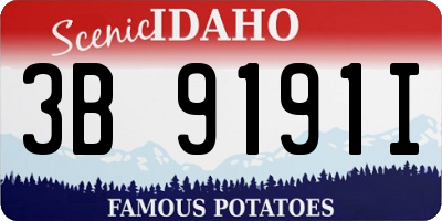 ID license plate 3B9191I