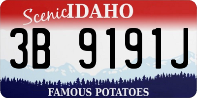 ID license plate 3B9191J
