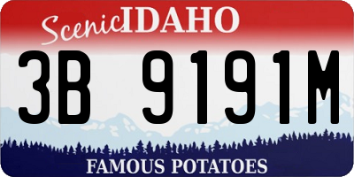 ID license plate 3B9191M