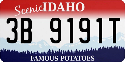 ID license plate 3B9191T